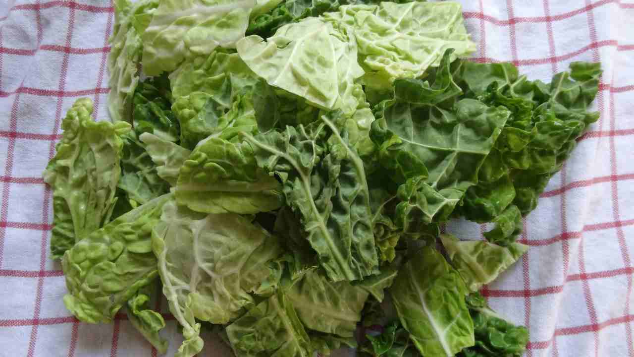 Caramelle di cavolo verza