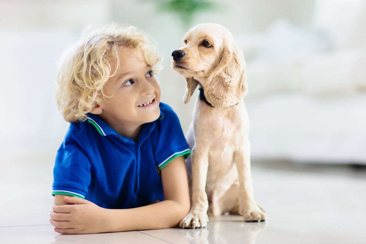 cane in regalo per natale, cosa devi sapere